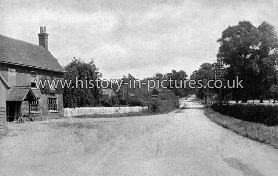 The Village, Margaretting, Essex. c.1905